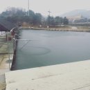 진우낚시터 | 경기도 광주 진우낚시터 방문후기