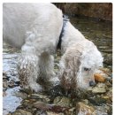 달빛산장 이미지