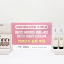 더블유피엠