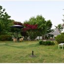 산아11