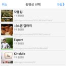 비바비디오 Daum카페
