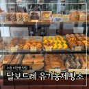 수원 비건빵 맛집 ‘달보드레 유기농제빵소’