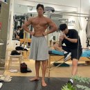 슈브핏 이미지