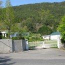 도남초등학교 이미지