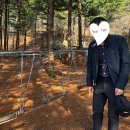 매지유아숲체험원 이미지