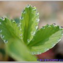 달맞이 펜션 이미지