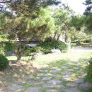 김태선농장 Daum카페