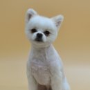 독스앤휴먼 이미지