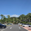 제주도는 날씨가 정말.. 이미지