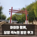 죽녹원 | [전남 여행] 담양 죽녹원 방문 후기, 아이와 함께 가기 좋은 대나무 숲