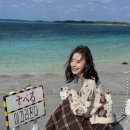 뚜벅이 | 오키나와 북부 버스투어 하루하루투어 뚜벅이 내돈내산 후기