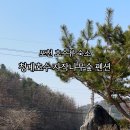 청계호수 자작나무숲 펜션 이미지