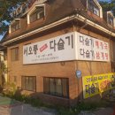 다슬기삼계탕 이미지