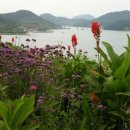 별 정원 이미지