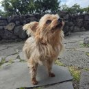 태신해안로 이미지