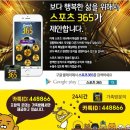 대박토토 이미지