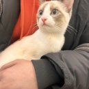 몽마르뜨 동물병원 이미지