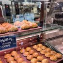 베이커리밤마을