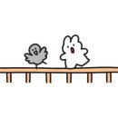 댓기리 닭돼지 김치찜 이미지