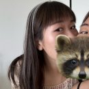 홍콩반점 상봉역점 | 97 수박의 계절