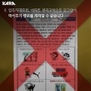 아파트 길고양이 먹이주기는 제재가 가능할까? 이미지