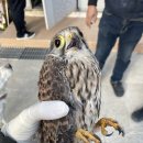 광주광역시 야생동물구조관리센터 이미지