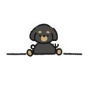 모라스테이 이미지