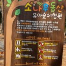 거제 쌈지공원 유아숲체험원
