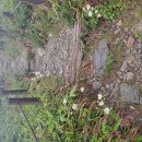 백련사안내소 | 덕유산 가을비를 맞으면서 걸었다