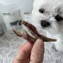 언니도그 | 강아지훈련용간식 찾는다면? 기호성 좋은 100% 국내산 도그말리온 수제간식 급여 후기