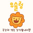 필필필(Feel Viel Fill) 이미지