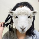 형우목장 이미지