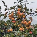 목수와 시인 이미지