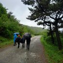 우중(雨中)산행에 항상 대비합시다 이미지