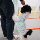 옐레드 문래역점 이미지