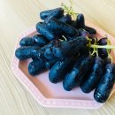 더노랑
