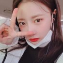 미주꽃