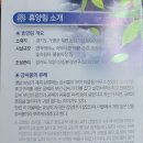강씨봉자연휴양림 티스토리
