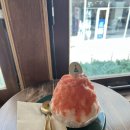 카페토마토 | 대구 동성로 빙수맛집 카페 동빙 토마토빙수 내돈내산 후기