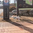 하늘맞이공원 이미지