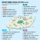 제주세관 직원들이 추천하는 현지 맛집 이미지