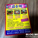 태화곱순이 이미지