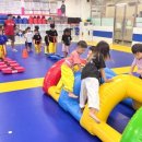 세종체육도장 이미지