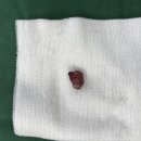 해운대 케이 동물병원 이미지