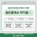 해뜰공인중개사사무소 이미지