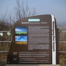 시외버스터미널 앞 1 이미지