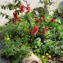 다솔민박 이미지