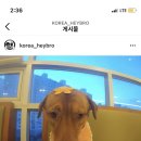 곰이네유치원 이미지