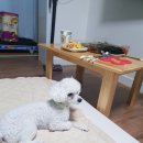 뚱이 밥상