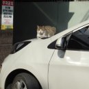 원산진국 이미지